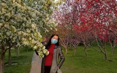 麻豆视传媒短视频网站-入口2021仙踪林免费